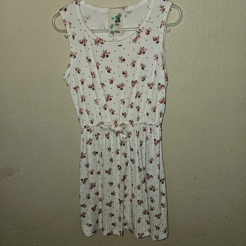 Lily Bleu Pink Flutter Sleeve Scoop Neck Sundress With Short Sleeve Sweater